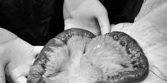 6521bd73b3b510eb49a4 9883