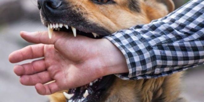 73a4e3d46014c34a9a05 4840