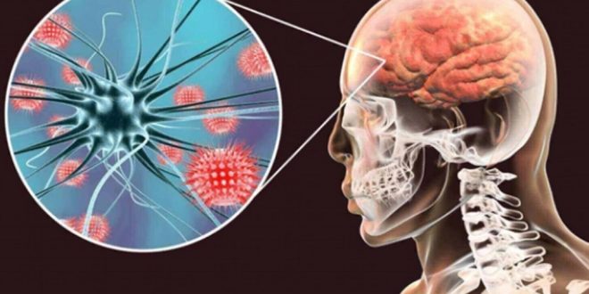 c97217953eeb9db5c4fa 1661