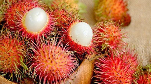 loi ich cua chom chom 5707